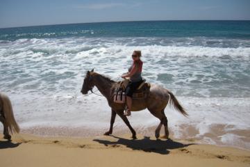 Los Cabos Shore Excursion: Horseback Riding Adventure
