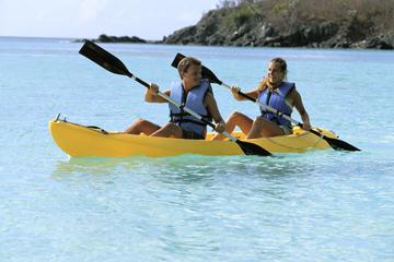 Los Cabos Shore Excursion: Los Cabos Arch Kayak Adventure