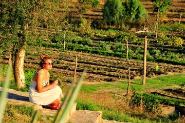 SAN JOSE ORGANIC COOKING CLASSES