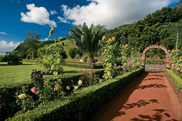 Full Day Nordeste Van Tour