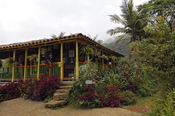 Private Hike of the Reserva Natural Nirvana from Cali