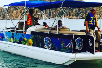 Private Personalized Snorkeling Tour in Los Cabos