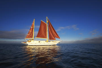 Port Phillip Bay Sailing and Yarra River Cruise by Traditional Timber Tall Ship from Melbourne