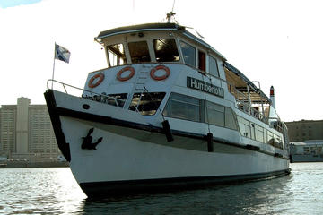 Navigation by the Rio de la Plata from Madero Port
