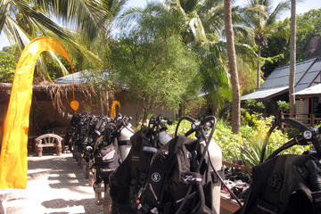 Discover Scuba Diving from Koh Samui