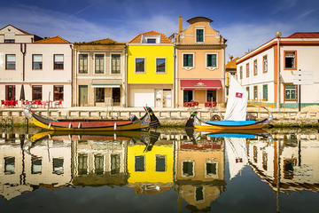 Aveiro and Ilhavo Private Full Day Tour from Lisbon