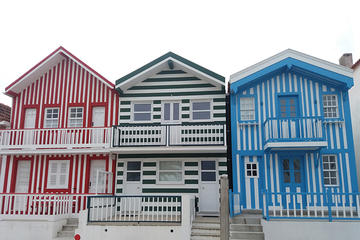 Aveiro and Ilhavo Private Full Day Tour from Lisbon with drop off in Porto
