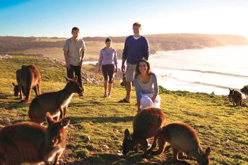 5-Day Adelaide and Kangaroo Island Tour Including Barossa Valley Wine Tasting