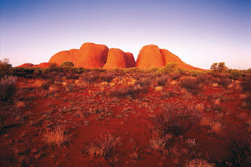 Japanese Uluru Pass with optional BBQ Dinner