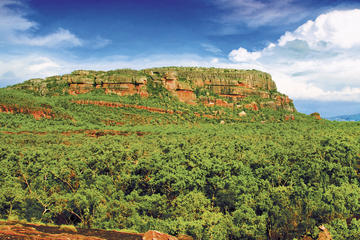 Kakadu, Nourlangie and Yellow Waters Tour from Darwin