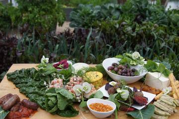 Mornington Peninsula Day Trip Including Tour of Green Olive at Red Hill