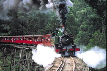 Puffing Billy Steam Train, Yarra Valley and Healesville Wildlife Sanctuary Day Tour