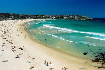 Sydney, Bondi Beach, and Kings Cross Tour