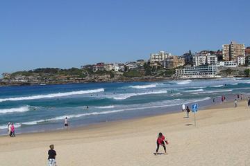 Sydney: Bondi Beach and Kings Cross Tour plus Sydney Harbour Lunch Cruise