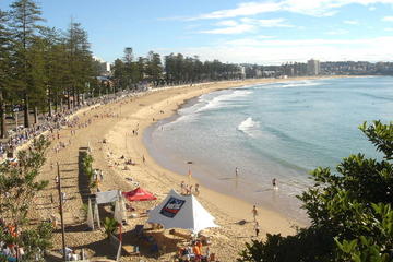 Sydney, Manly, and Northern Beaches Tour with Optional Lunch Cruise