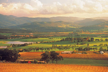 Yarra Valley Wineries and Puffing Billy Steam Train Tour from Melbourne