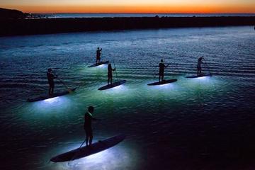 Small Group Midnight Paddle SUP with Dinner in Barcelona