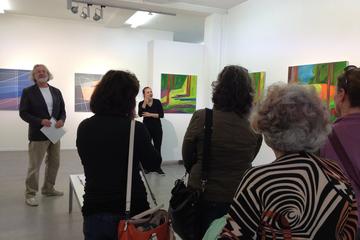 Private Personalised Art Tour in Auckland