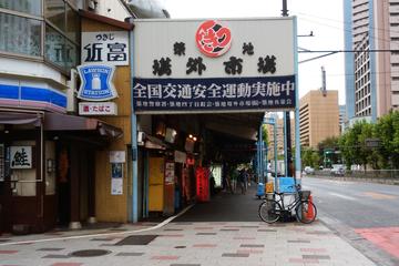 1 Day Walking Tour strolling Tsukiji Market and Meiji Shrine Including Asakusa