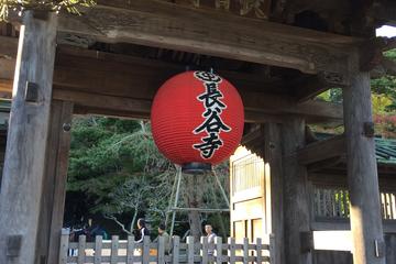 Full-Day Kamakura Tour from Tokyo Viewing a Variety of Flowers at Hase Temple