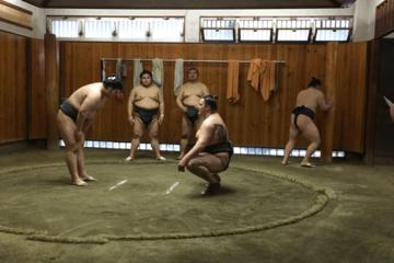 Private Asakusa, Tsukiji Fish Market and Sumo Stable Tour Including Water Bus Ride