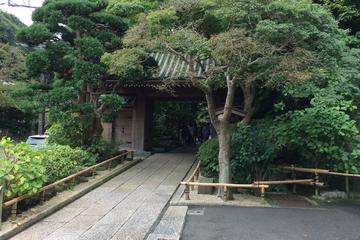 Private Full-Day Kamakura Tour of Tokyo and Hokoku-ji Temple