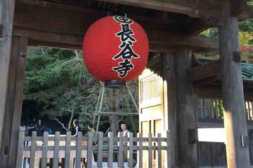 Private Half-Day Kamakura with Kotokuin (Great Buddha) from Tokyo