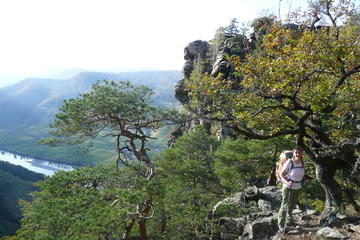 2-hour Alpine Small-Group Hiking Tour through Mysterious Landscape of Seekopf Mountain in Wachau Valley from Vienna