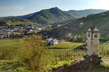 2-Hour Easy Small-Group Hiking Tour on Buchberg Mountain in Beautyfull Wachau Valley from Vienna