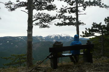2 Hour Small Group Alpine Hiking, Gosing Mountain Vienna Tour