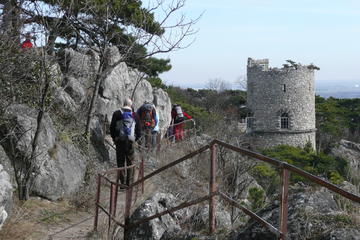 2-Hour Small-Group Hiking Tour along Kalenderberg Mountain to Meet History from Vienna