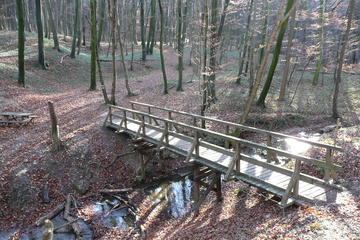 2-Hour Small-Group Hiking Tour through the Hagenbach Gorge in Vienna Woods from Vienna