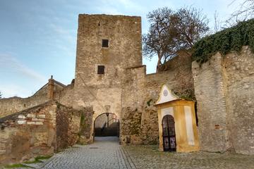 2-Hour Small-Group Hiking Tour to Meet History at Braunsberg Mountain and Danube River from Vienna