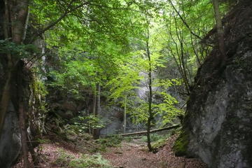 3-Hour Alpine Small-Group Hiking Tour through Wild and Romantic Gorges at the High Wall from Vienna
