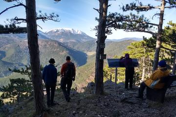 3-Hour Small-Group Alpine Hiking Tour through the walls of Gosing Mountain