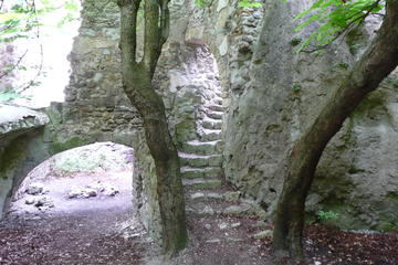 Helenental Castles Hike with Transport from Vienna