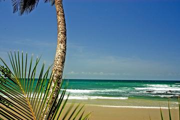 Coastal Tour of Trinidad
