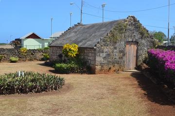 Highlights of Tobago Tour