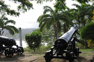 Tobago Buccoo Reef Glass Bottom Boat Cruise and Island Sightseeing Tour