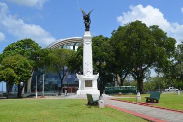 Trinidad Highlights Tour from Port of Spain