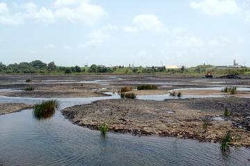 Trinidad Island Sightseeing Tour: Pitch Lake and Chaguanas