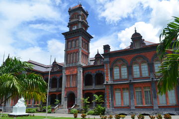 Trinidad Northern Eco-Cultural Full-Day Highlights Tour from Port of Spain