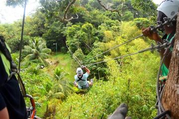 Trinidad Zipline Adventure