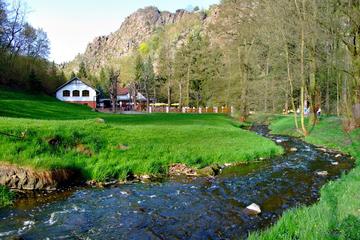Half-Day Small-Group Hiking Tour with Lunch