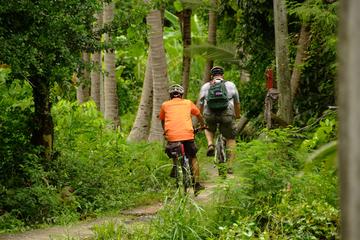 Bangkok Gardens and Canals Bike Tour