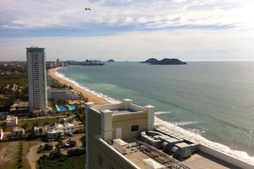 Mazatlan Sightseeing and Shopping Tour
