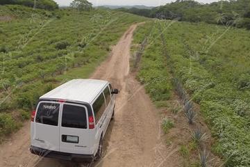 Private Tour to El Quelite Village and Tequila Distillery from Mazatlan