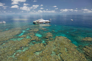 Great Barrier Reef Day Cruise from Cairns Including Snorkeling and Marine Biologist Presentation