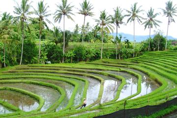 Bali Highlight Tours