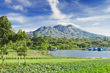 Bali Sensational Barong Dance And Kintamani Volcano Day-Tours